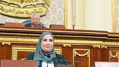 وزيرة التضامن: فيه مواطنين معاهم عربيات كيا وكانوا مقدمين على تكافل وكرامة
