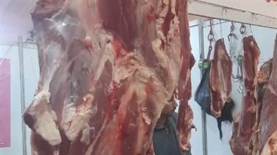 اللحمة بـ 180 جنيهًا والتمر بـ 10.. أسعار السلع والياميش في معرض أهلًا رمضان بإمبابة | بث مباشر