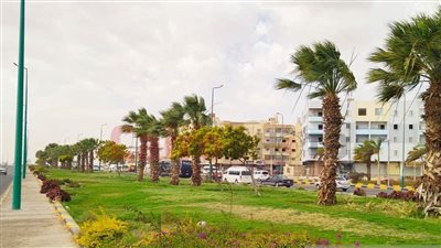 بعد الرياح المثيرة للأتربة.. أمطار متفاوتة على الغردقة ورأس غارب| صور