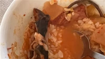 عايم على الشوربة.. زوجان أمريكيان يرفعان دعوى قضائية ضد مطعم كوري بسبب فأر في الطعام