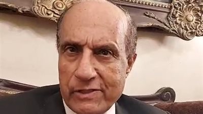محامي أسرة الطفل شنودة: المحكمة لم ترفض القضية.. ومن حق النيابة أن تقرر تسليم الصغير لأهله| بث مباشر
